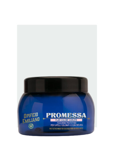 Promessa Flan colore sublime 220 ml